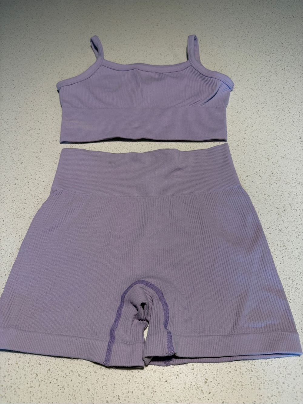 Seamless Ribbed Lavender Crop Bodysuit Set